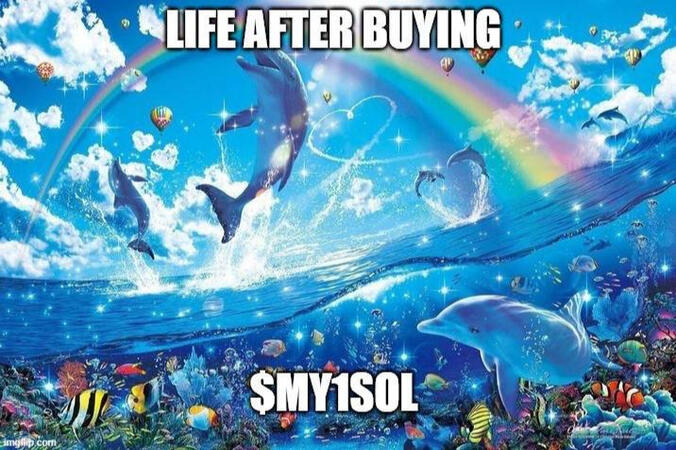 Just bought $MY1Sol